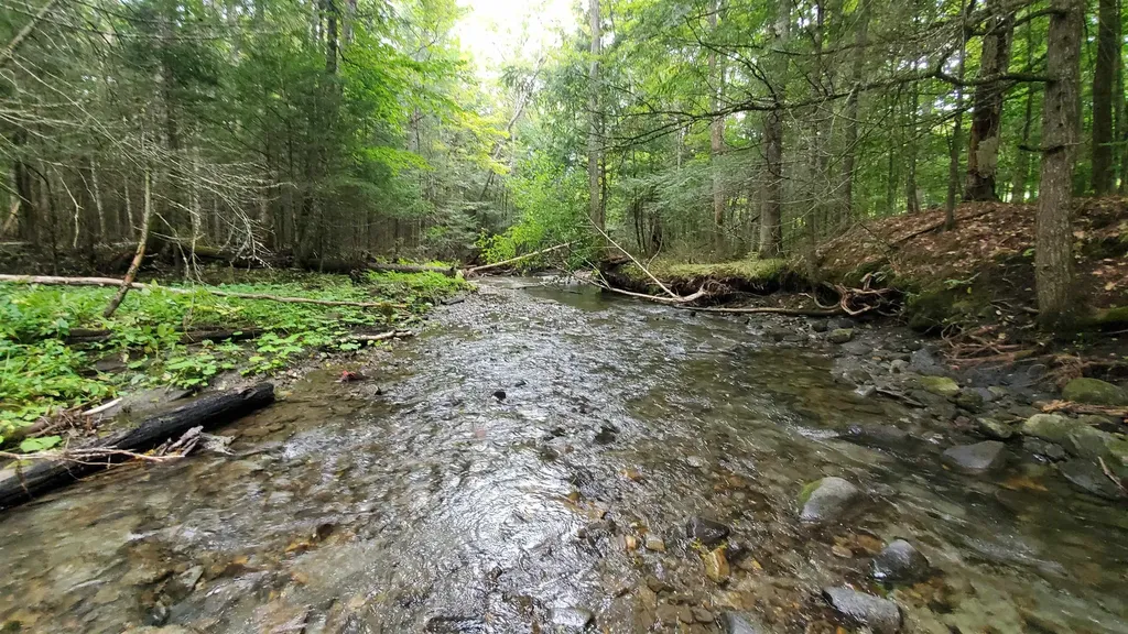 00 Brook Road Chelsea VT 05038