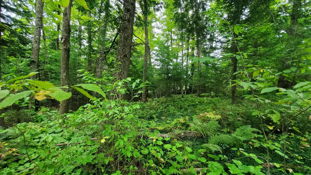 00 Brook Road Chelsea VT 05038