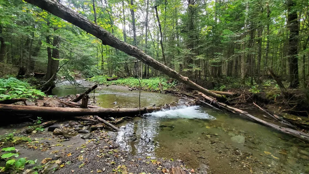 00 Brook Road Chelsea VT 05038