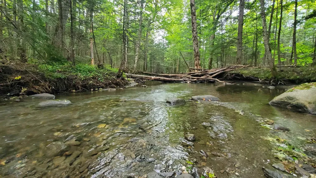 00 Brook Road Chelsea VT 05038