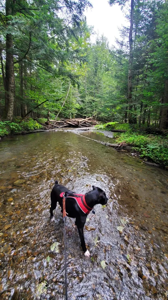 00 Brook Road Chelsea VT 05038