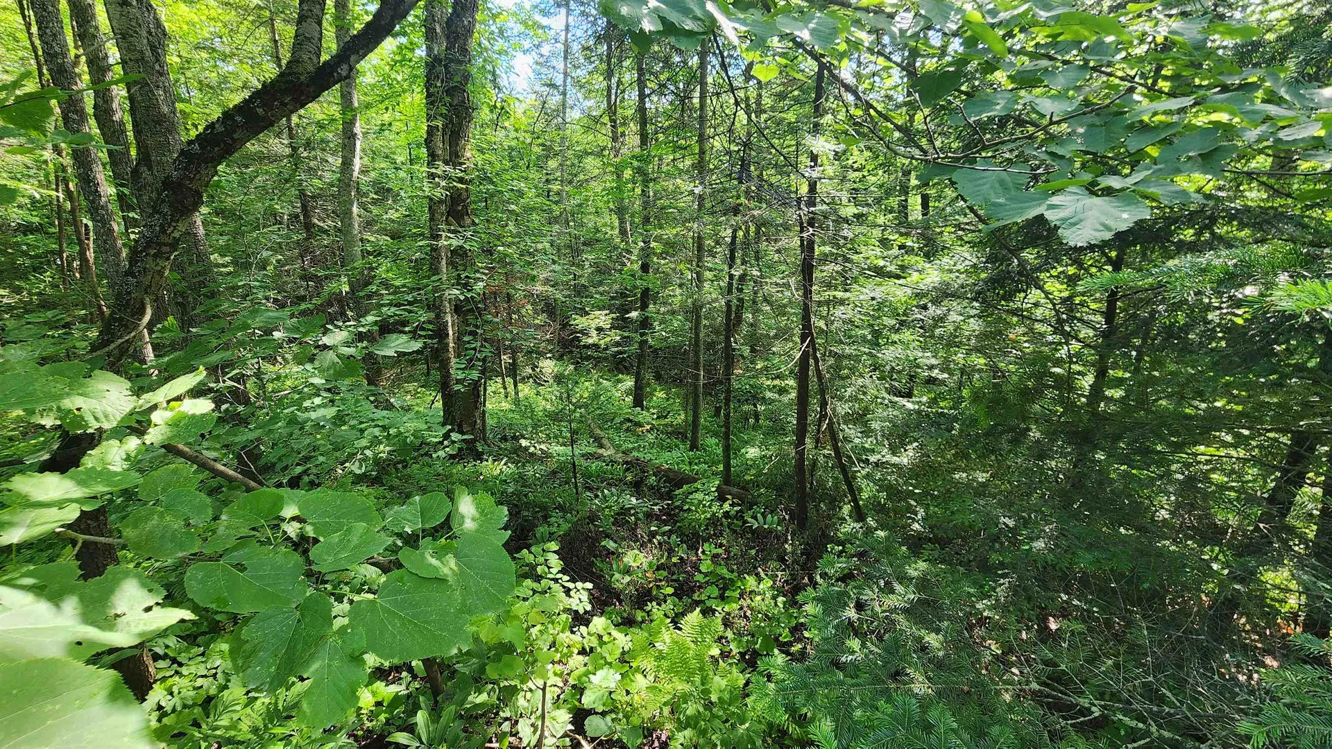 00 Brook Road Chelsea VT 05038