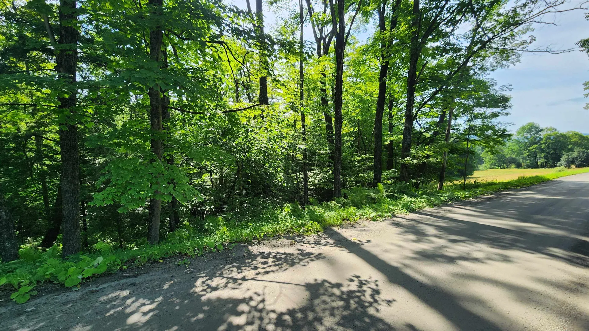 00 Brook Road Chelsea VT 05038