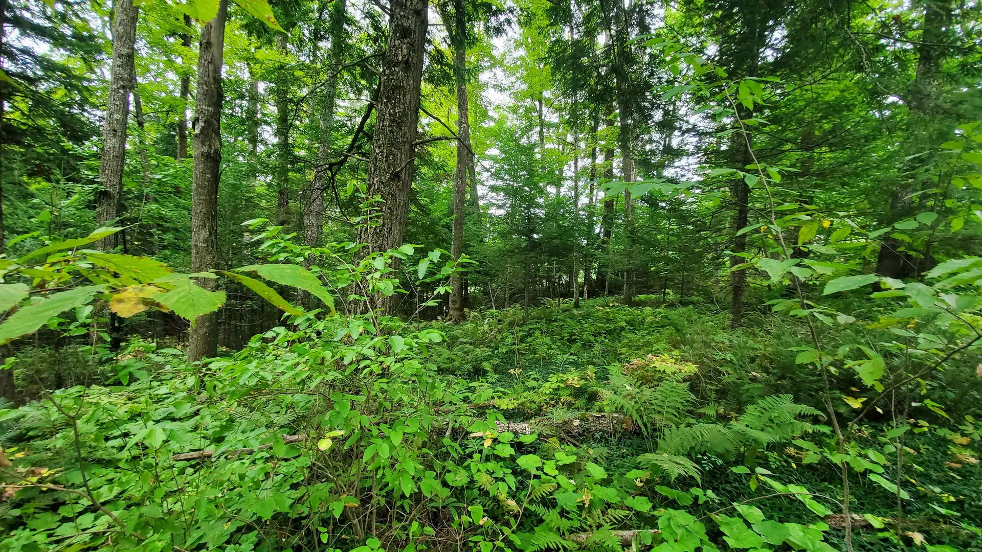 00 Brook Road Chelsea VT 05038