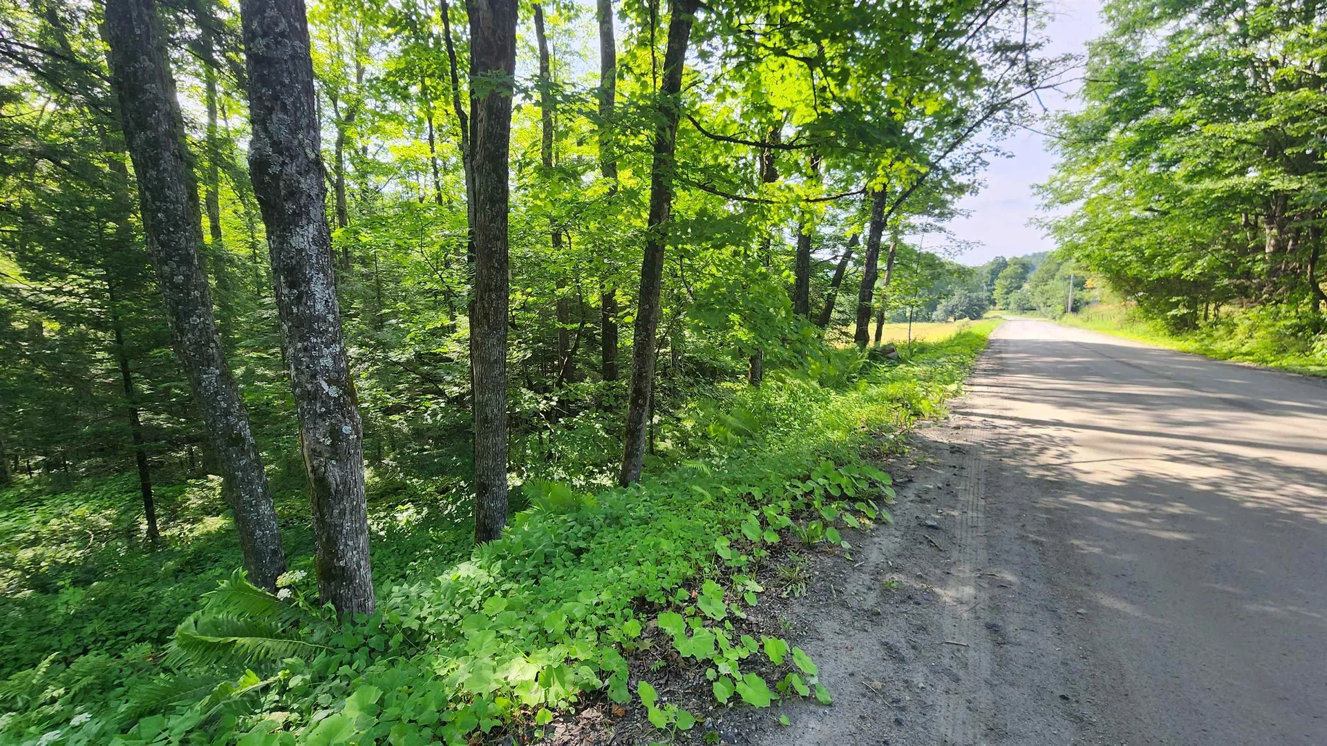 00 Brook Road Chelsea VT 05038