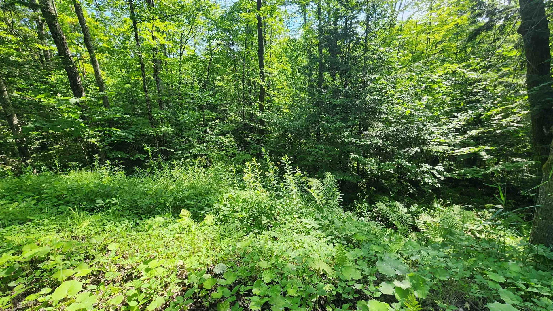 00 Brook Road Chelsea VT 05038