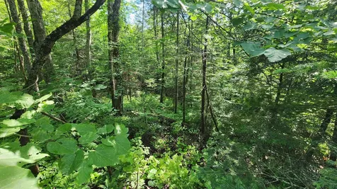 00 Brook Road Chelsea VT 05038