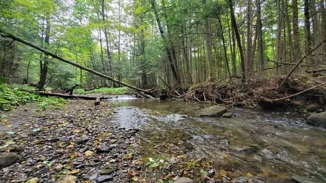 00 Brook Road Chelsea VT 05038