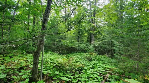 00 Brook Road Chelsea VT 05038