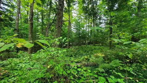 00 Brook Road Chelsea VT 05038