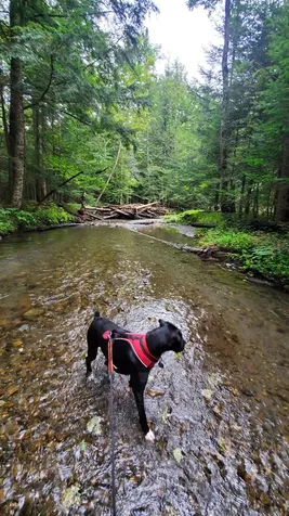 00 Brook Road Chelsea VT 05038