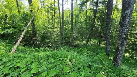 00 Brook Road Chelsea VT 05038