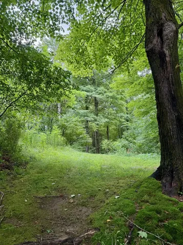 193 Vt Route 15 W Johnson VT 05656