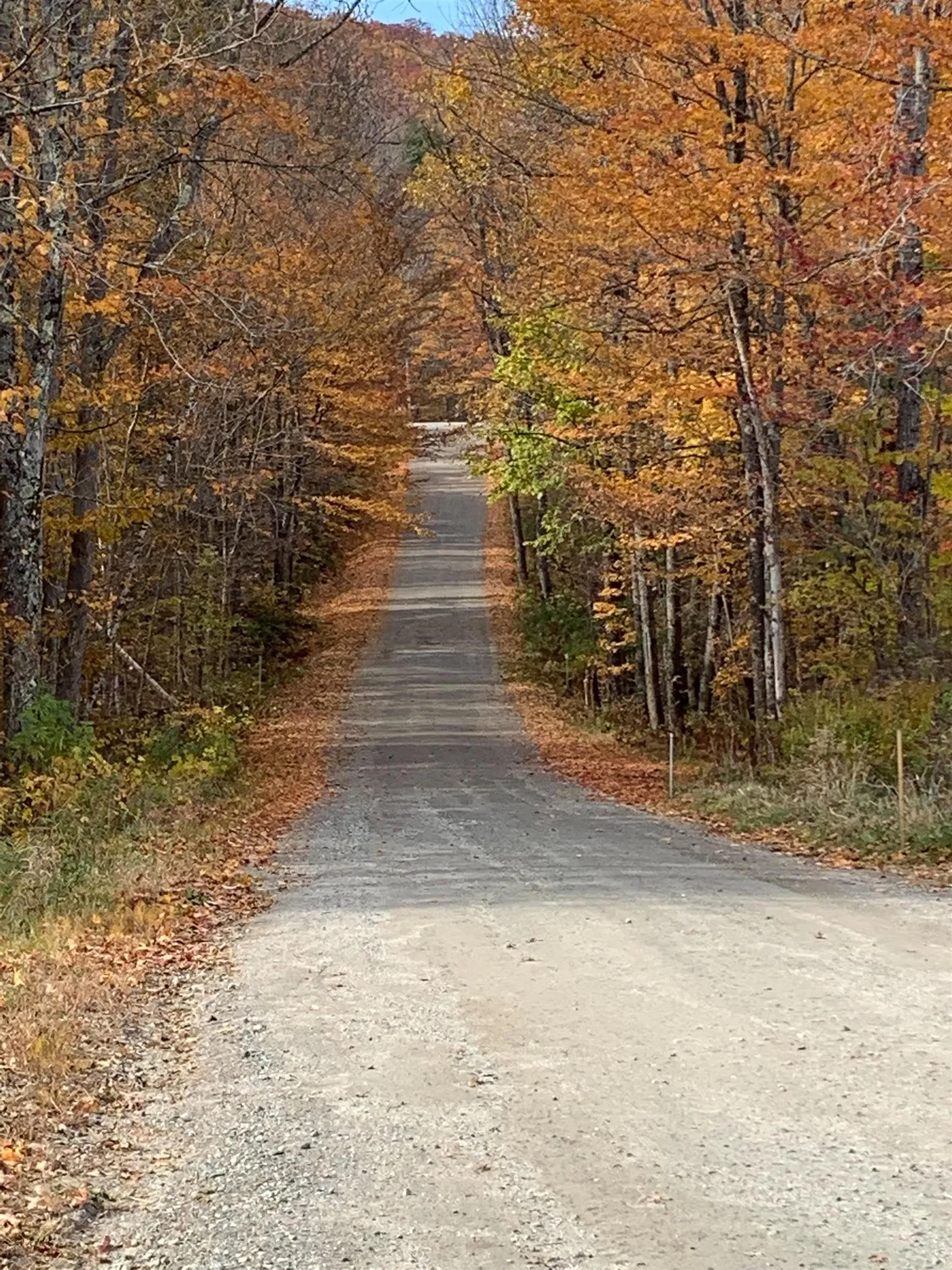 420 Gale Chandler Road Landaff NH 03585