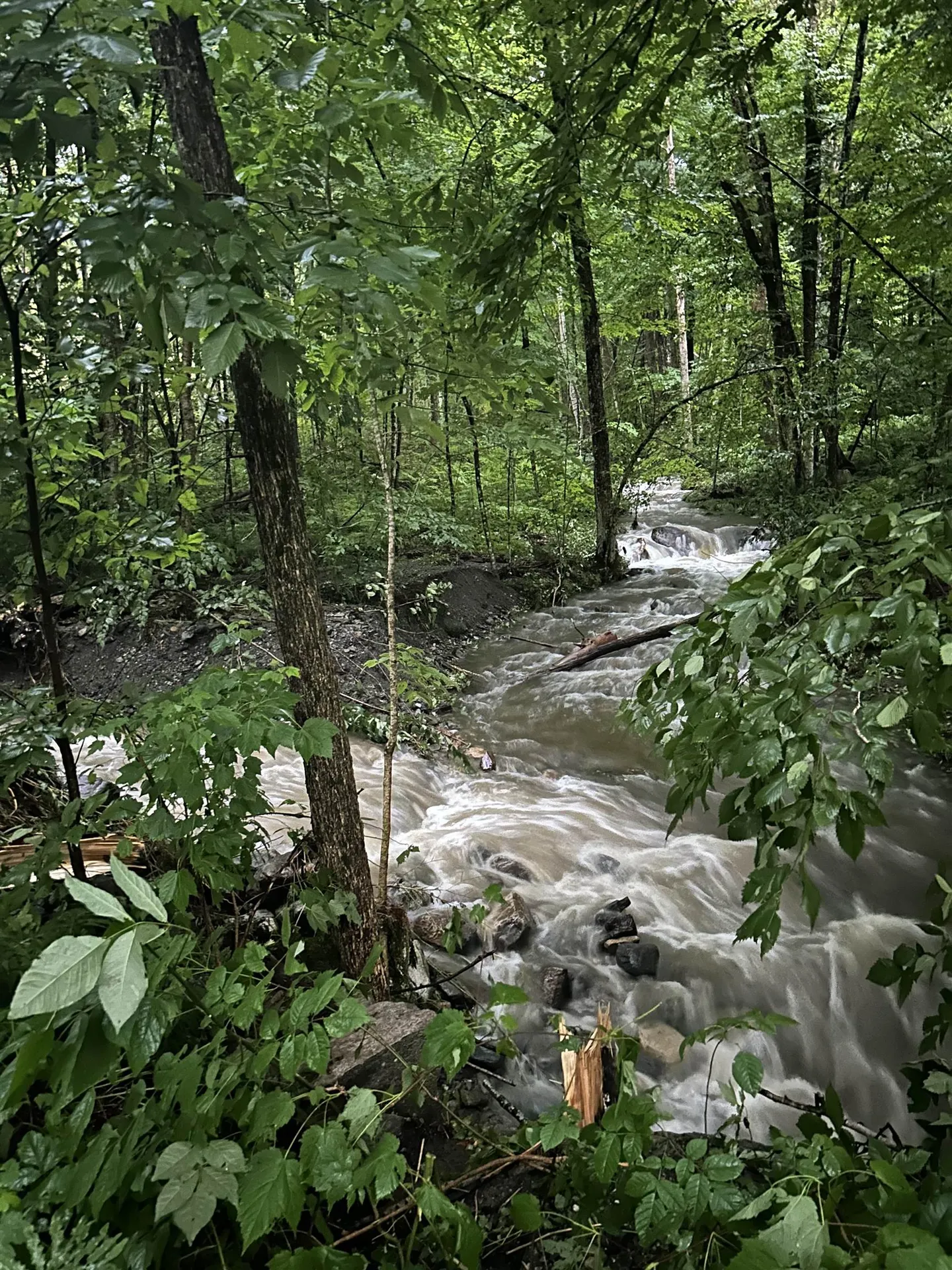 420 Gale Chandler Road Landaff NH 03585