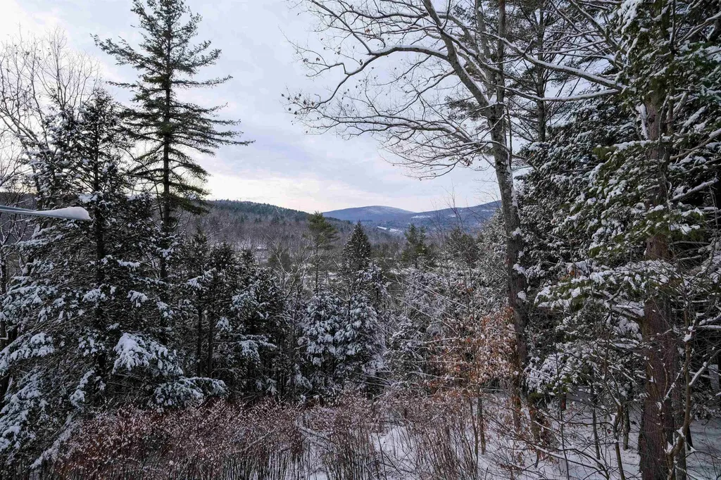 119 Pine Hill Road Ludlow VT 05149