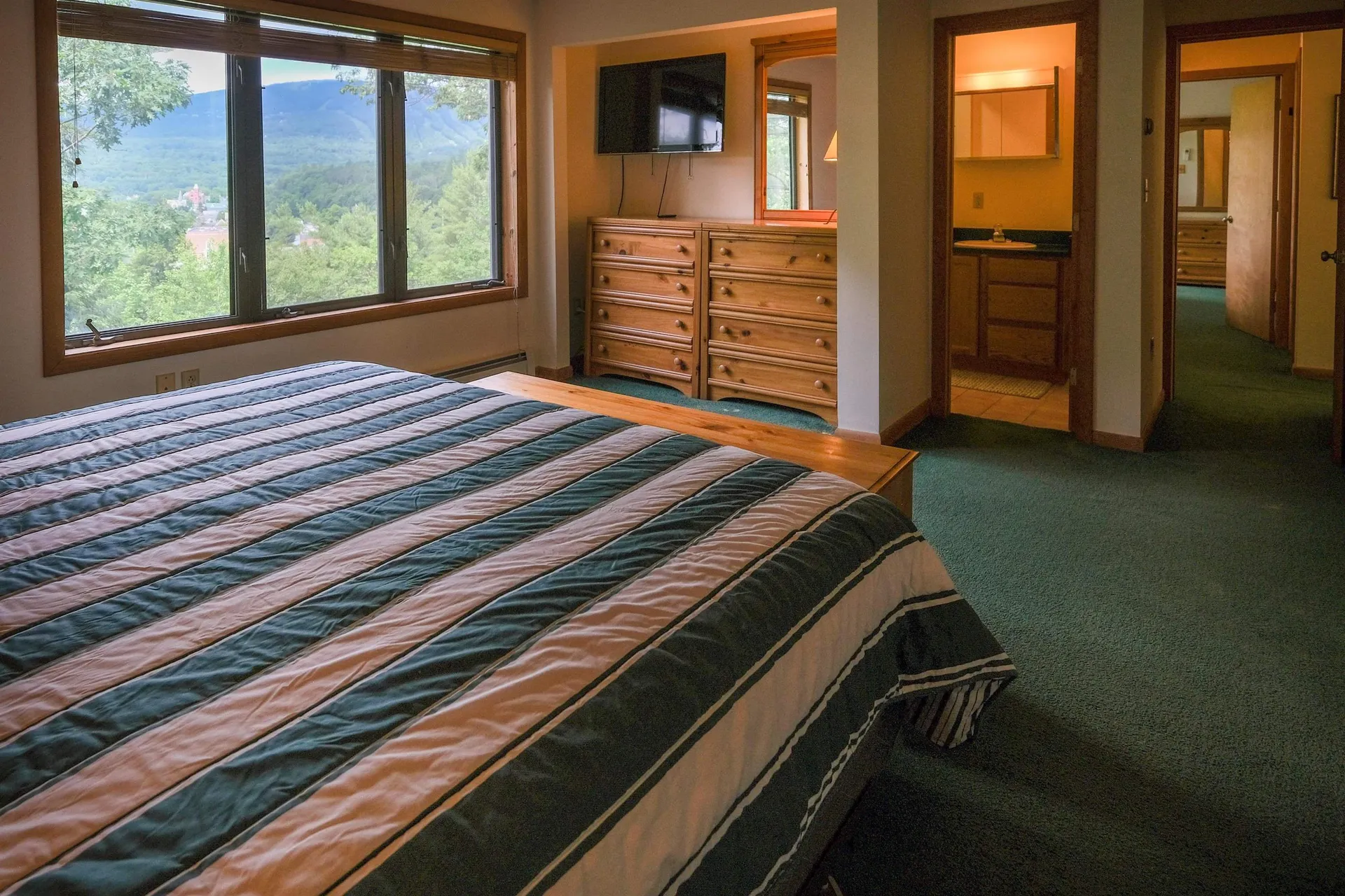 119 Pine Hill Road Ludlow VT 05149