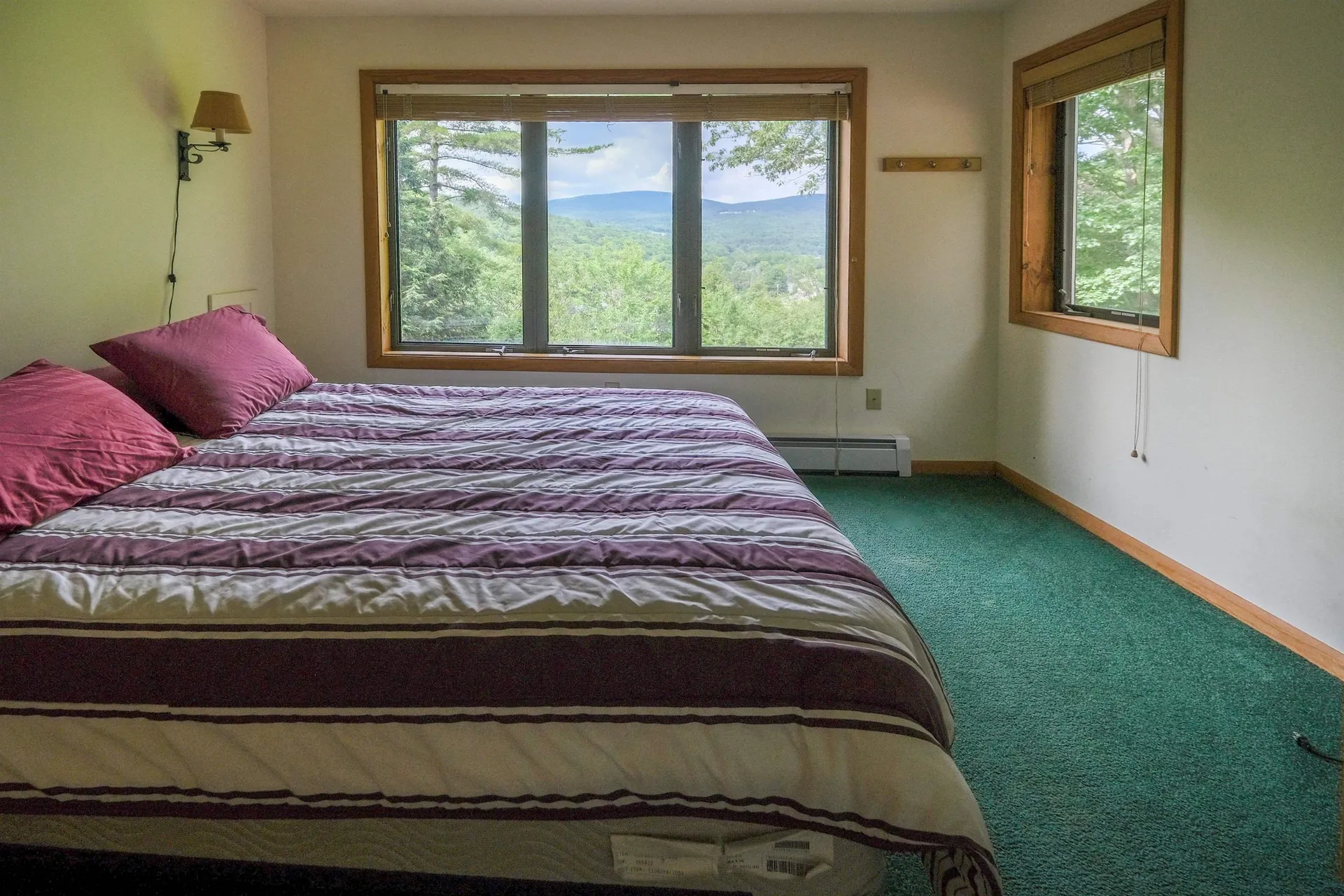 119 Pine Hill Road Ludlow VT 05149