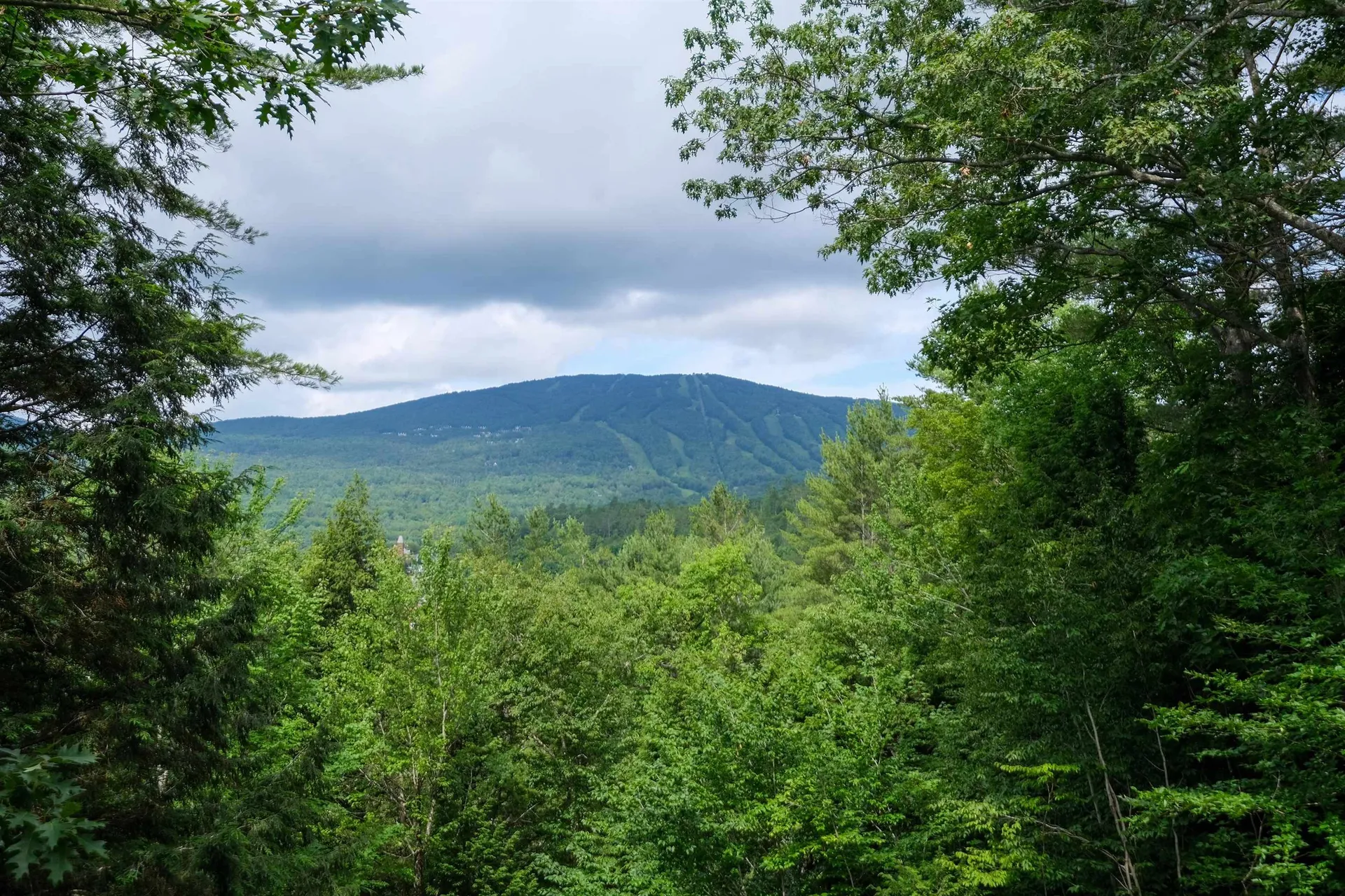 119 Pine Hill Road Ludlow VT 05149