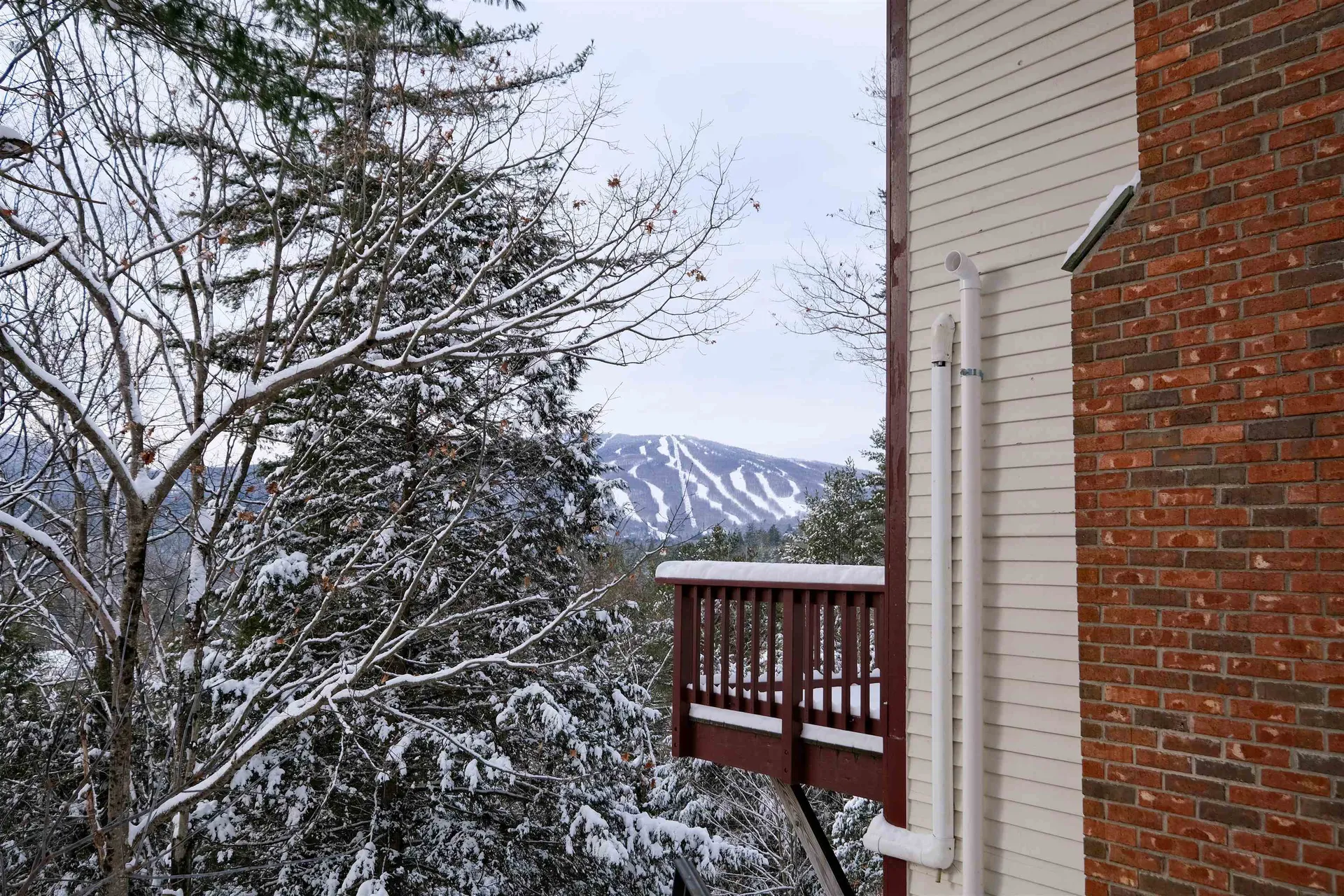 119 Pine Hill Road Ludlow VT 05149