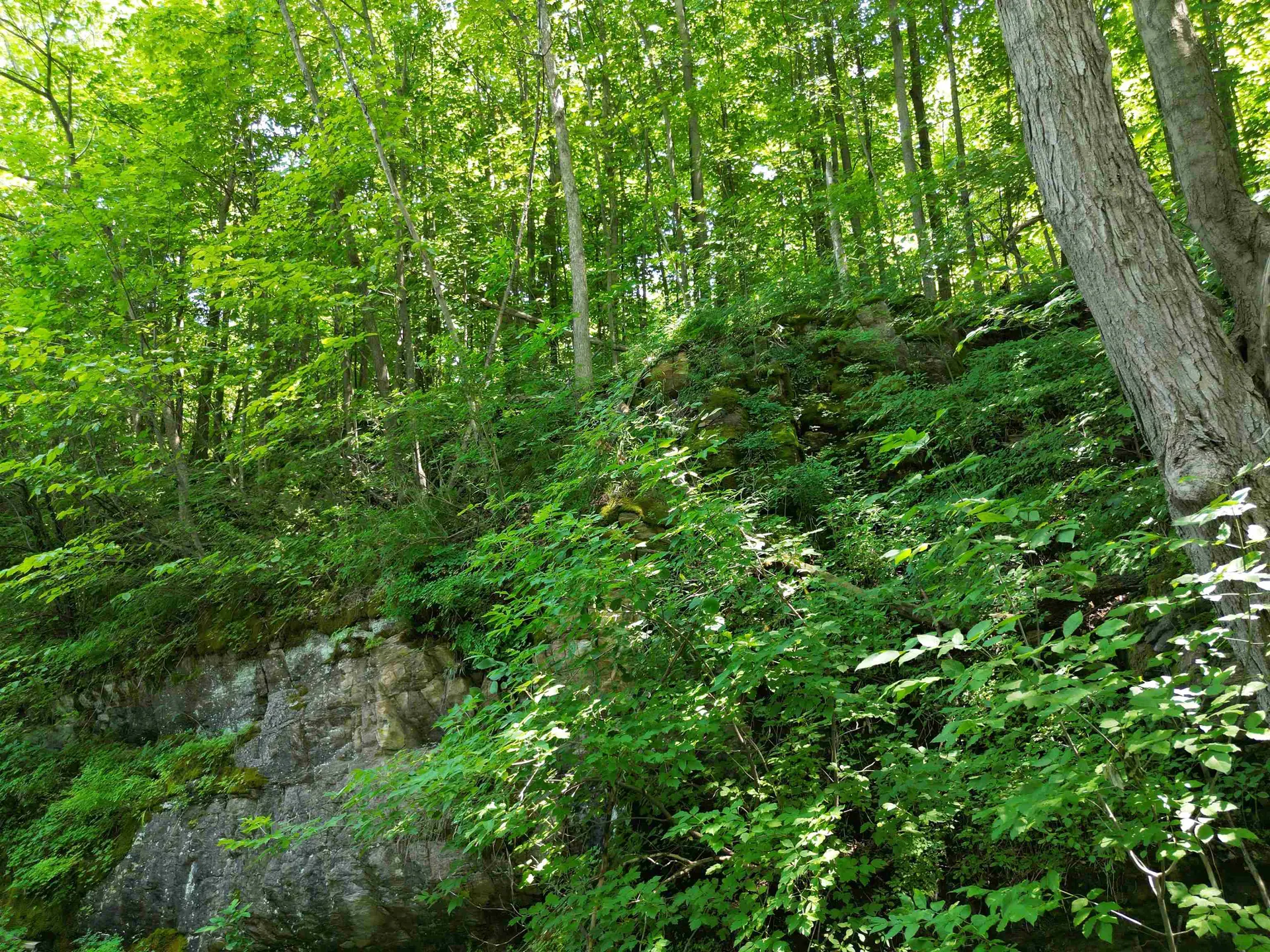 41 Sunset Avenue Milton VT 05468