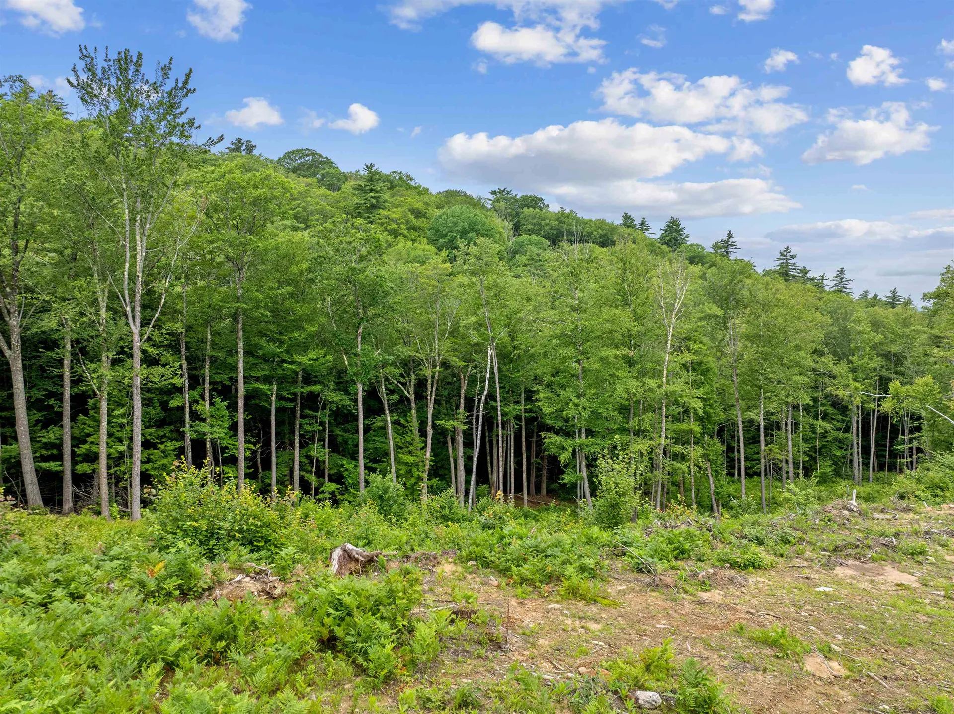 0 Polly Ham Road Northfield NH 03276