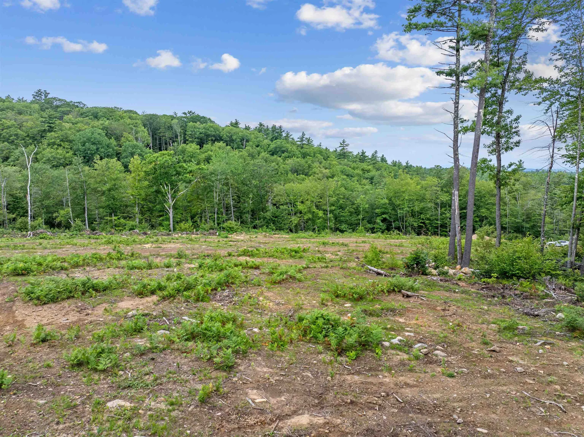 0 Polly Ham Road Northfield NH 03276