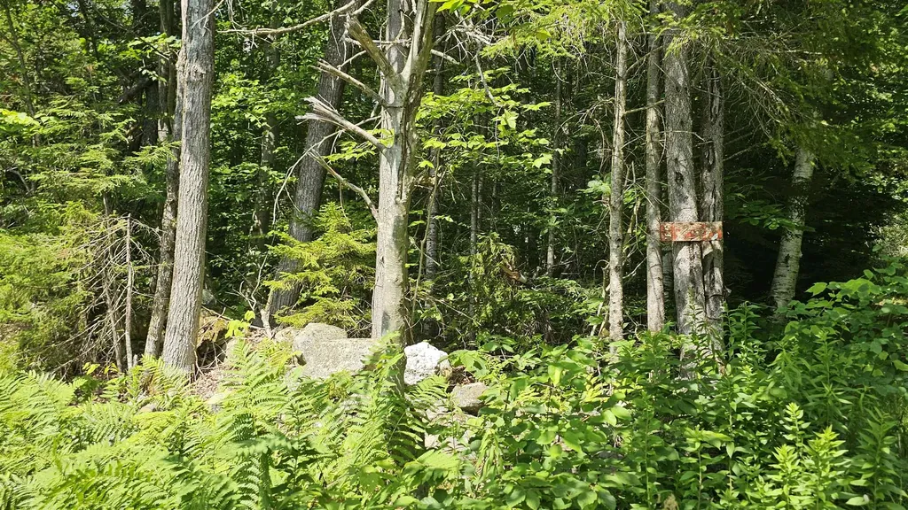 1718 Brown Schoolhouse Road Reading VT 05153