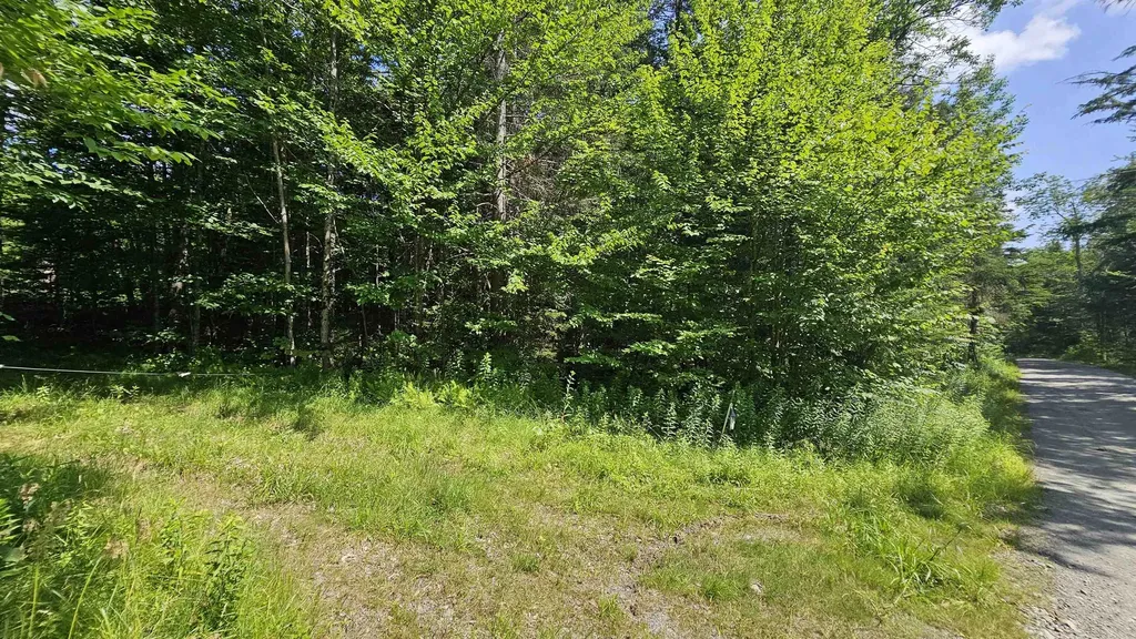 1718 Brown Schoolhouse Road Reading VT 05153