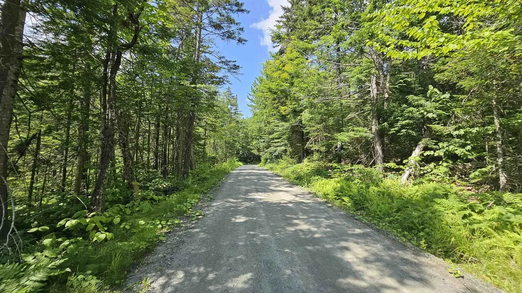 1718 Brown Schoolhouse Road Reading VT 05153