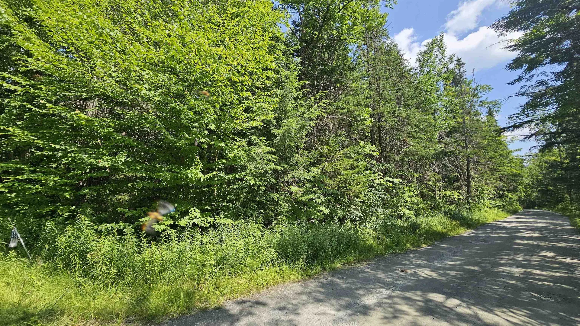 1718 Brown Schoolhouse Road Reading VT 05153