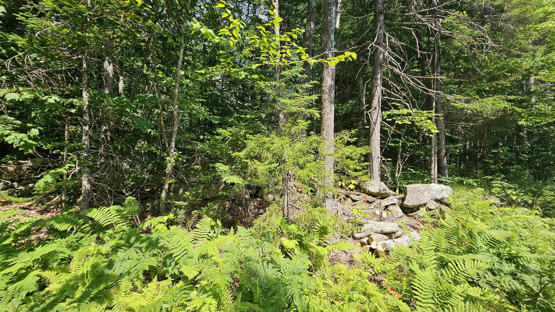 1718 Brown Schoolhouse Road Reading VT 05153