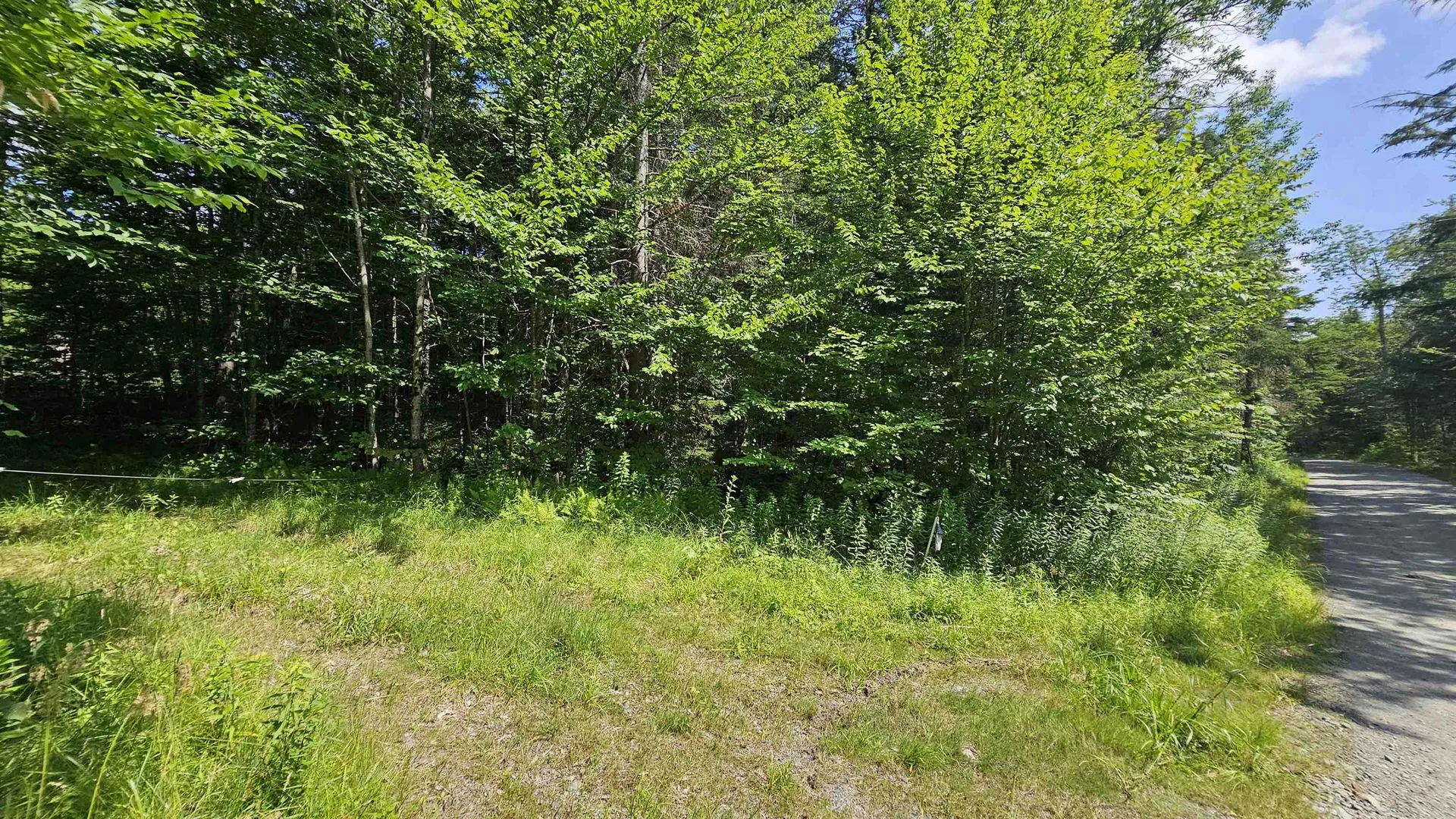 1718 Brown Schoolhouse Road Reading VT 05153