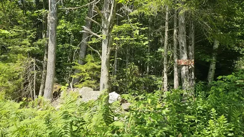 1718 Brown Schoolhouse Road Reading VT 05153