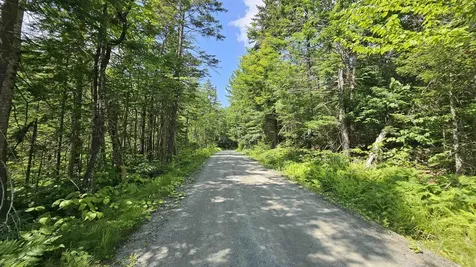 1718 Brown Schoolhouse Road Reading VT 05153