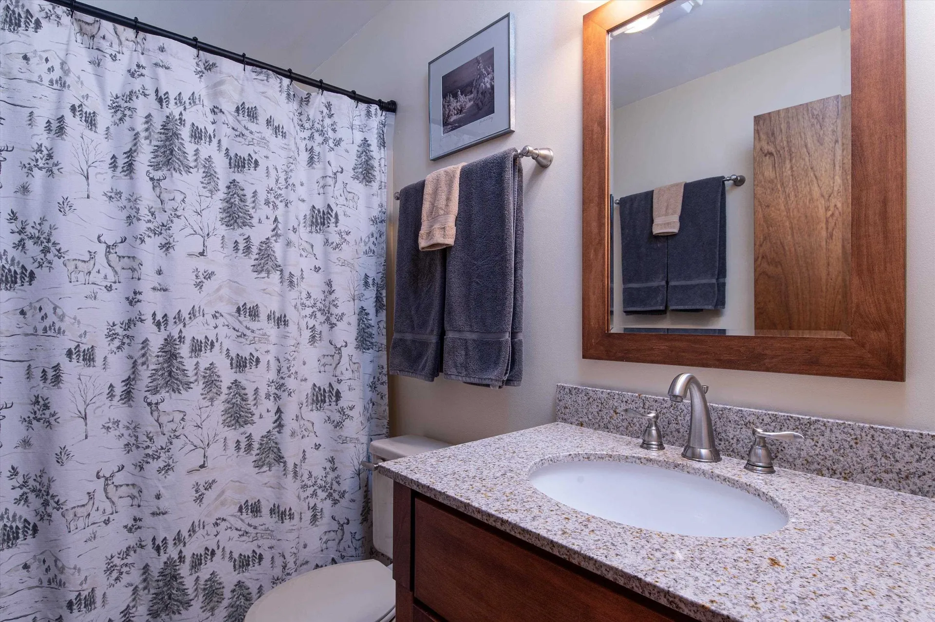 182 Okemo Trailside Extension Ludlow VT 05149