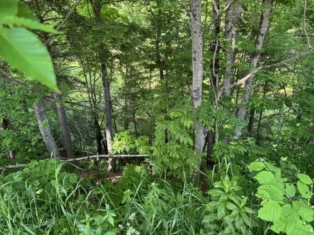 10424 Vt Route 25 Corinth VT 05040