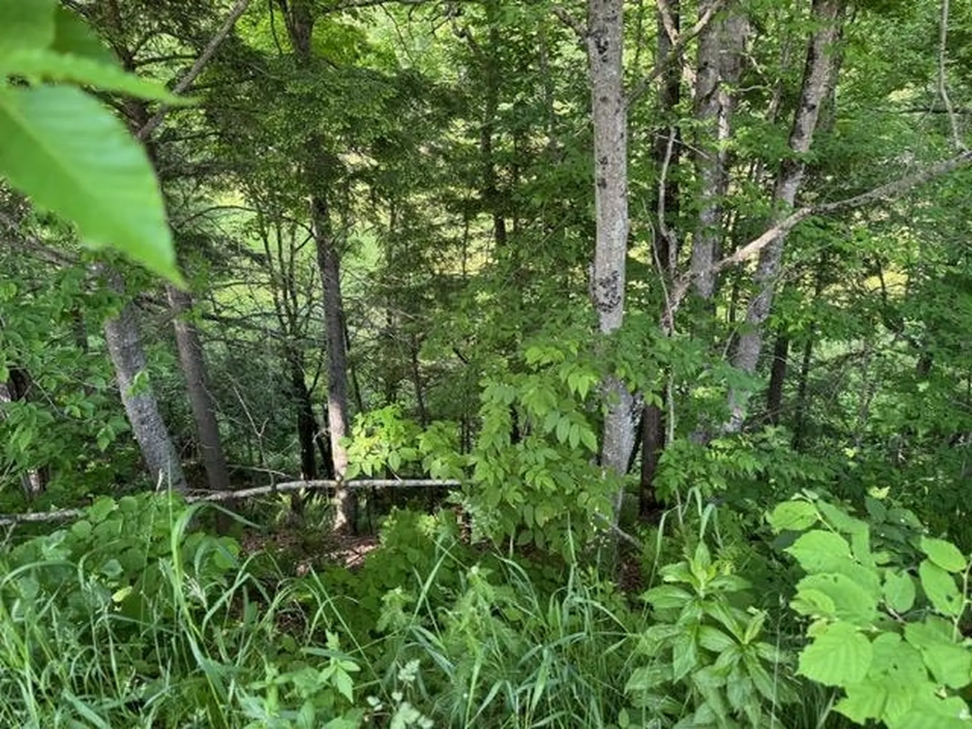 10424 Vt Route 25 Corinth VT 05040