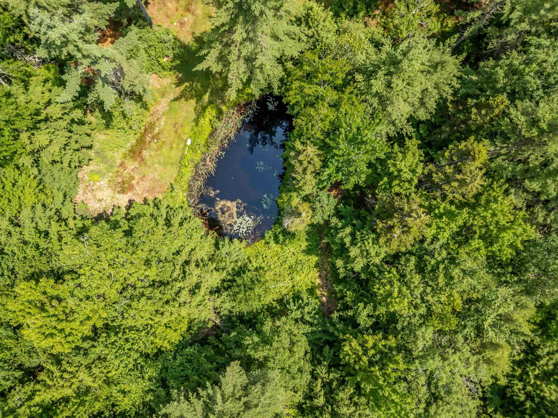 461 Berry Road New Durham NH 03855