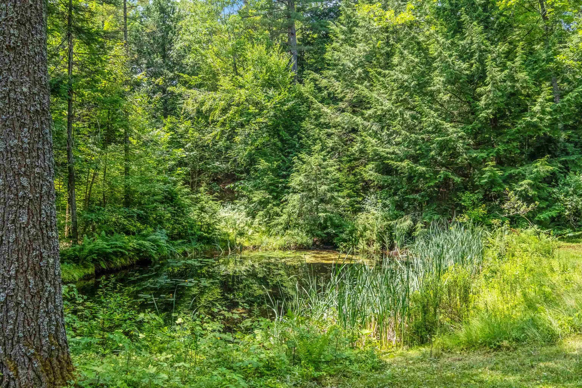 461 Berry Road New Durham NH 03855