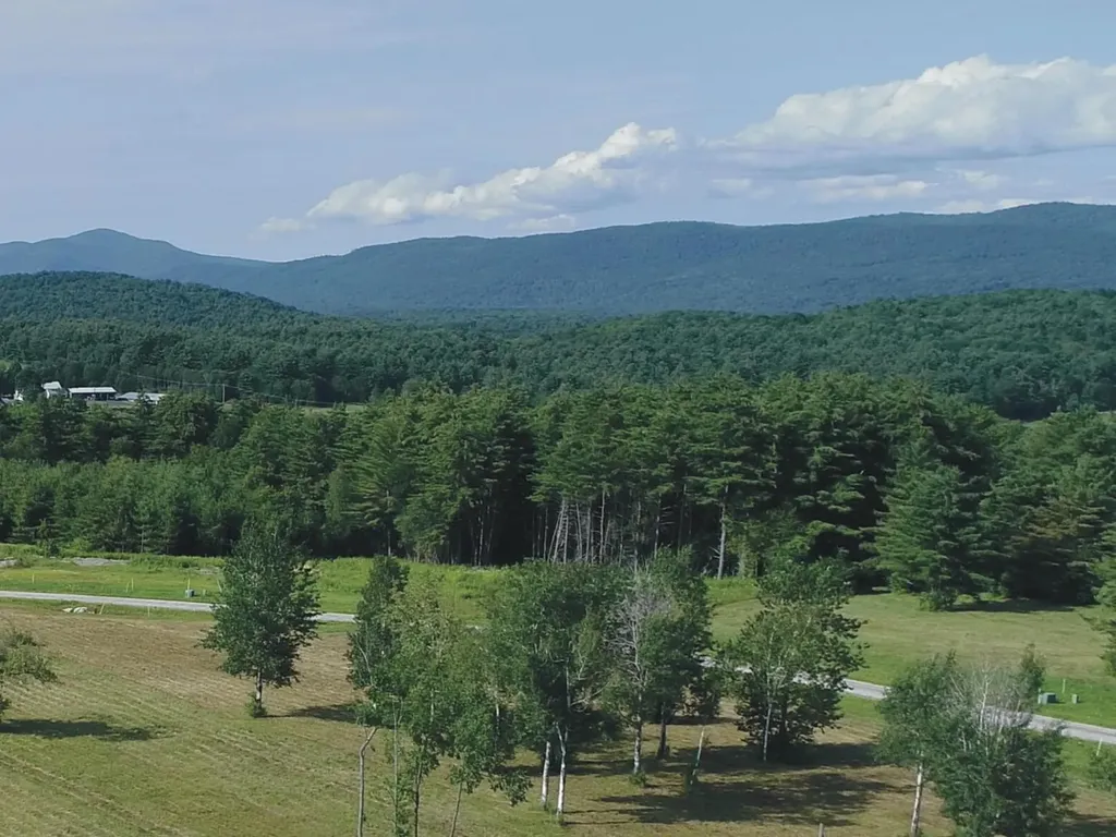 62-iii Prospect Street Brandon VT 05733