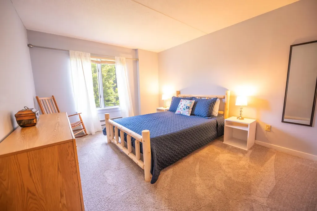 32B Snow Tree Lane Dover VT 05356