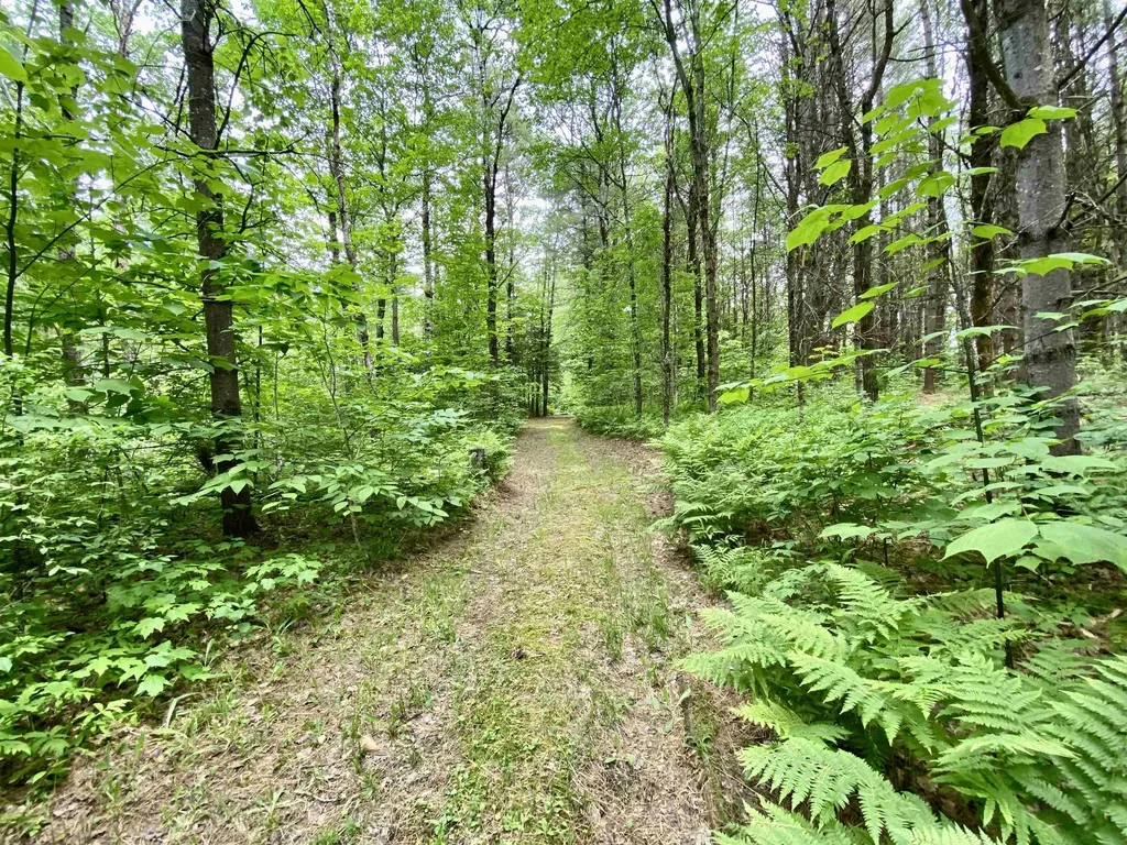 87 Old Chandlers Mills Road Unity NH 03743