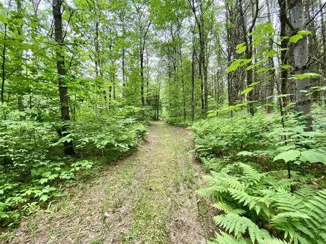 87 Old Chandlers Mills Road Unity NH 03743