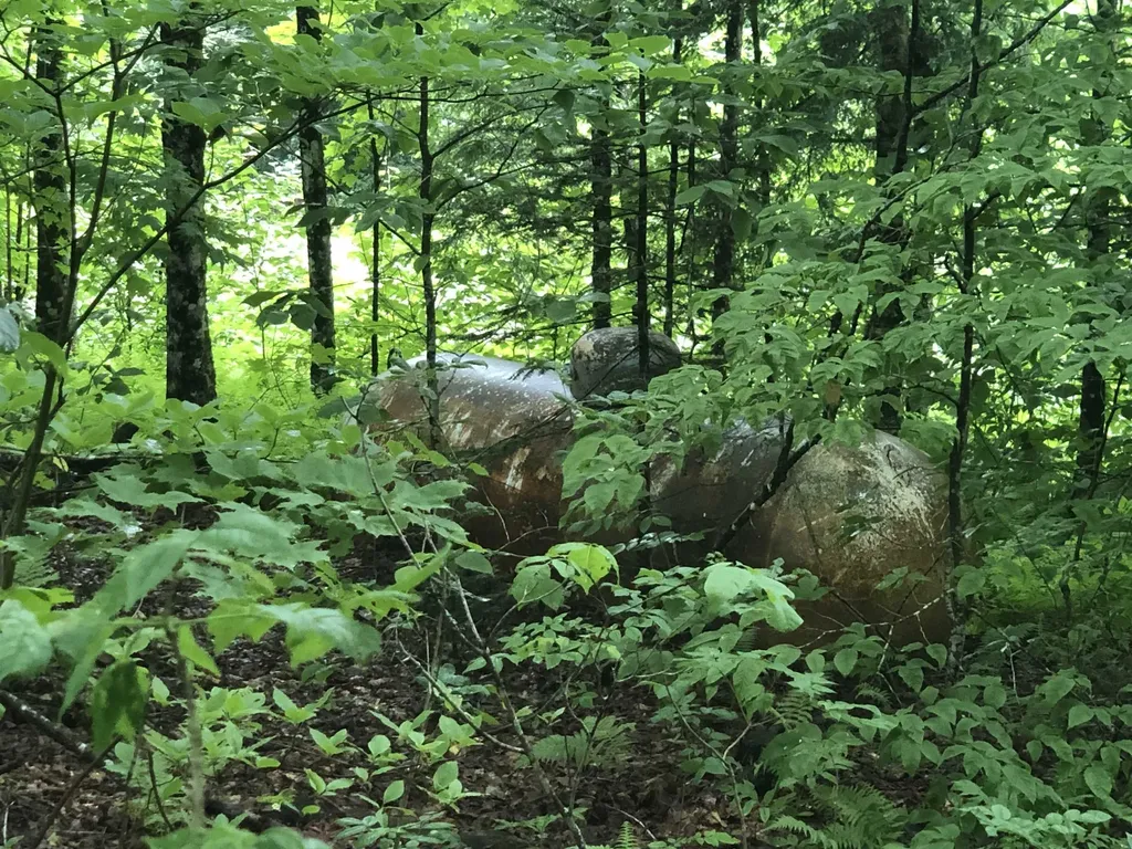 600 Bog Road Belvidere VT 05442