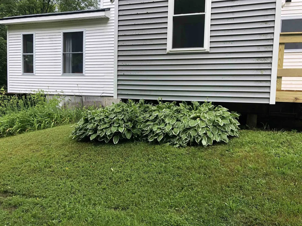 600 Bog Road Belvidere VT 05442