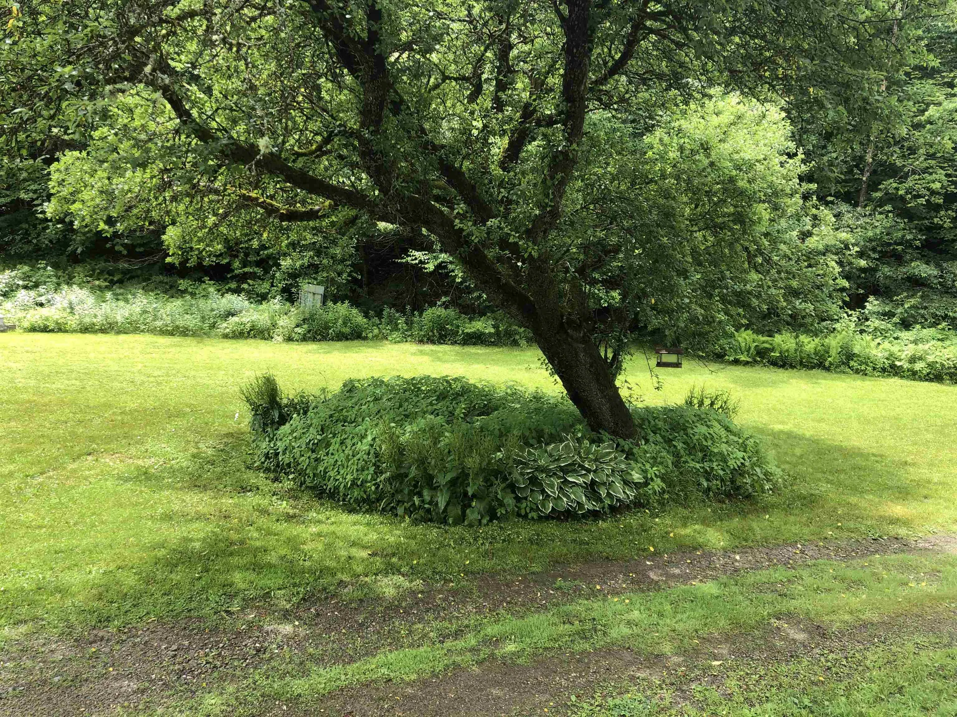 600 Bog Road Belvidere VT 05442