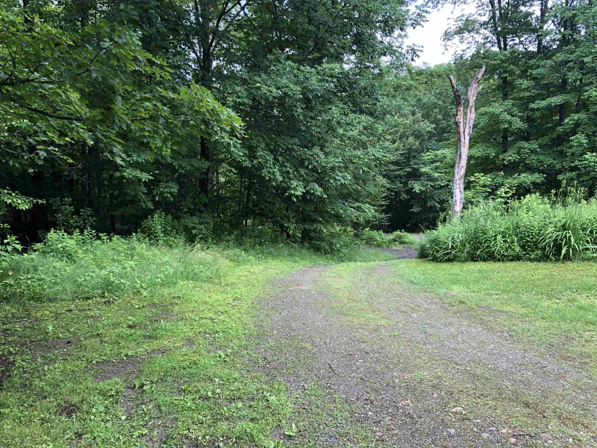 600 Bog Road Belvidere VT 05442