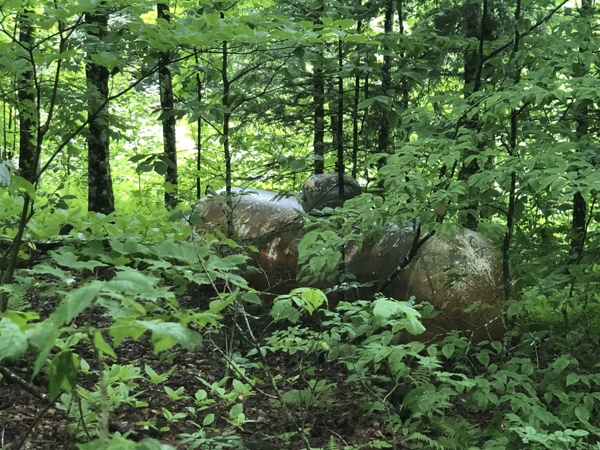 600 Bog Road Belvidere VT 05442