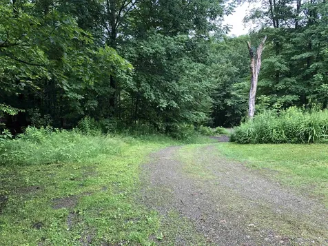 600 Bog Road Belvidere VT 05442